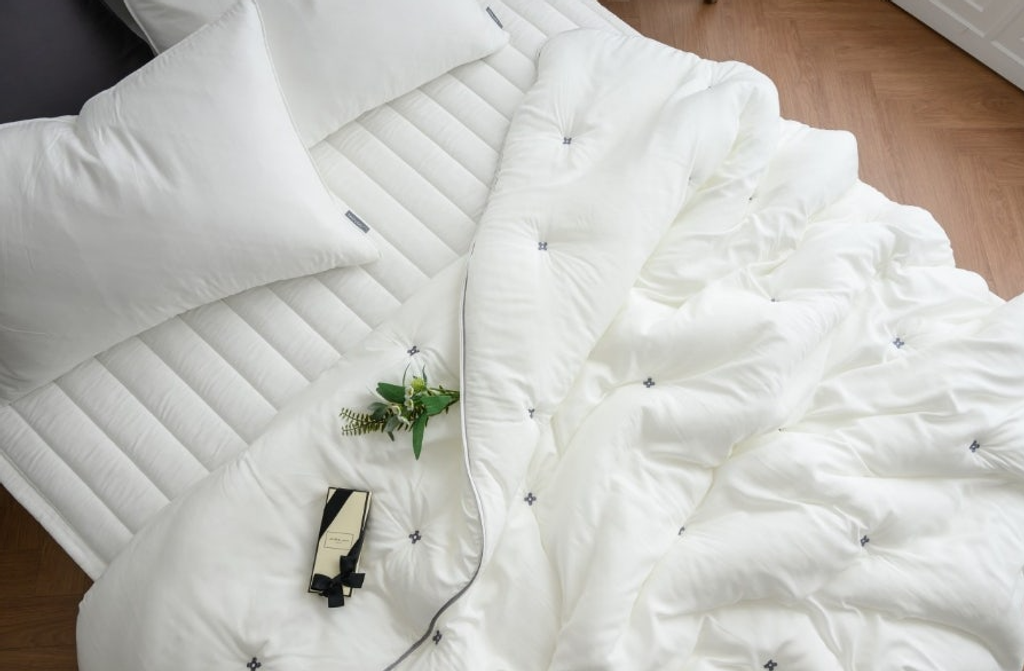 螢幕擷取畫面 2025-09-13 123510