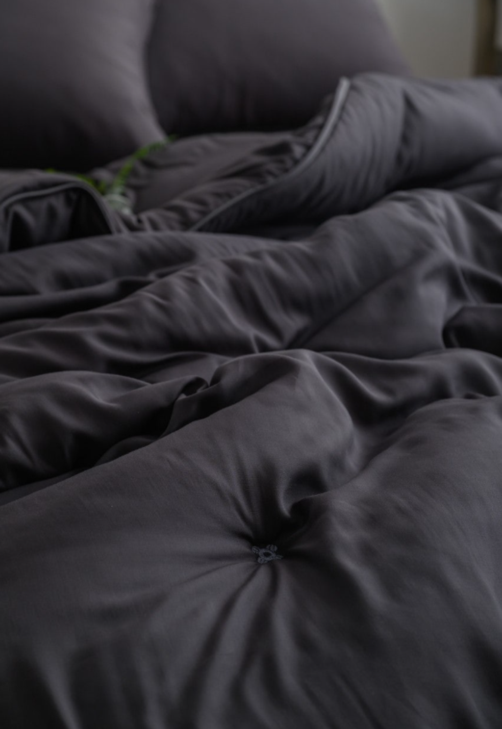 螢幕擷取畫面 2025-09-13 123747