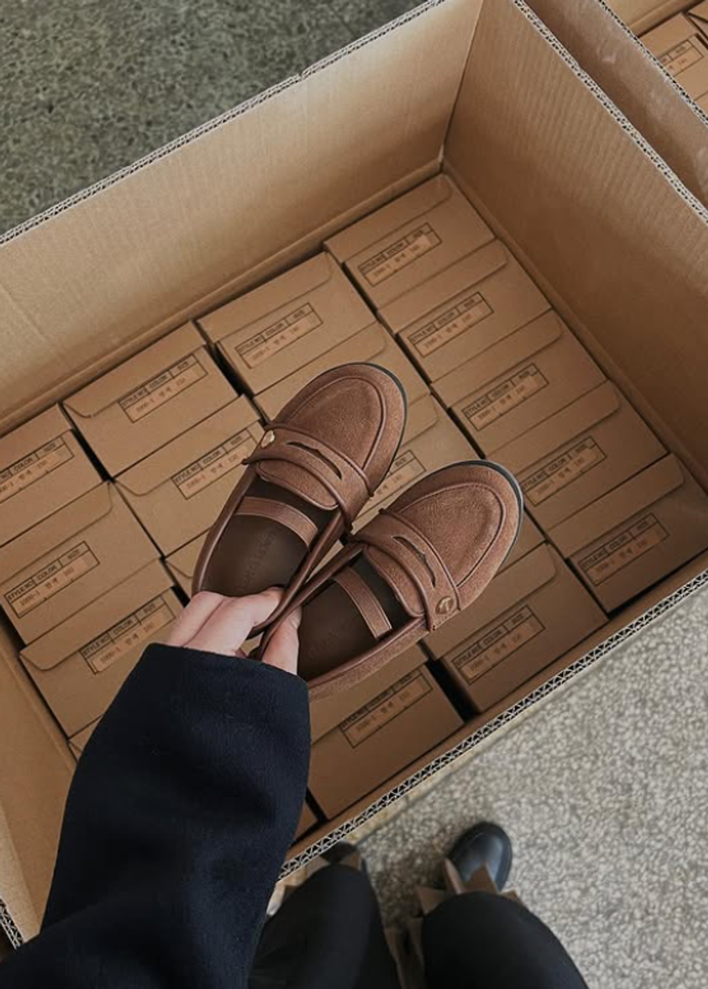 螢幕擷取畫面 2025-09-17 113731