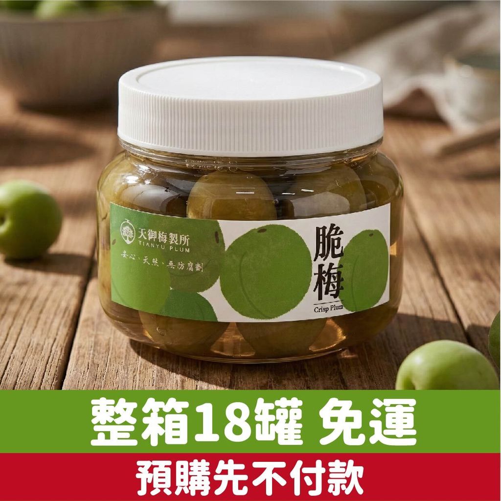 脆梅預購2026_原味整箱