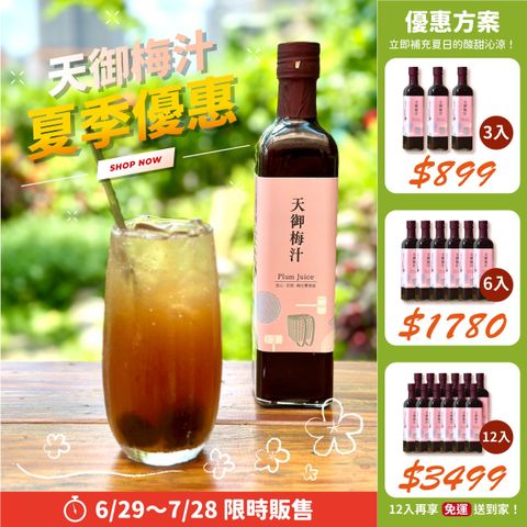 2024梅汁夏季促銷海報_總方案