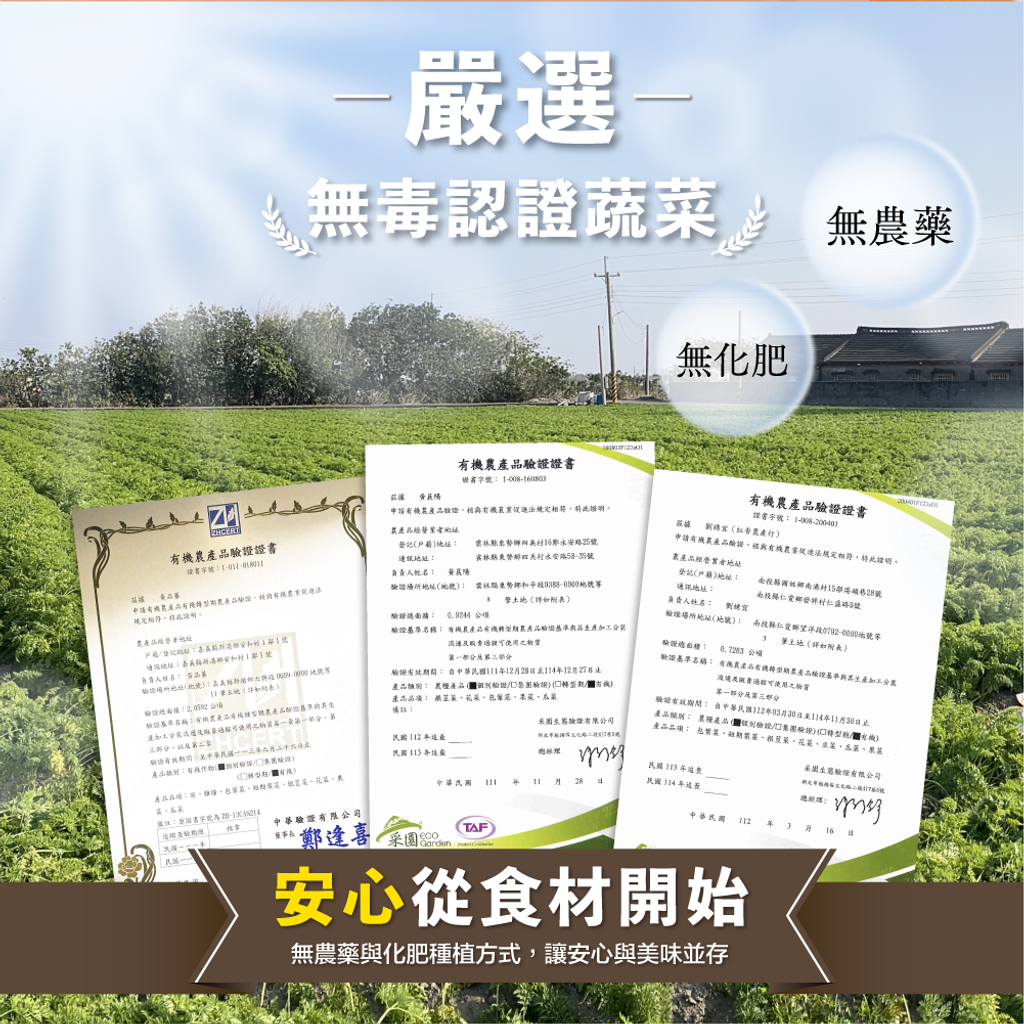 【生態友善原型零嘴】南瓜脆片(鹽味)3