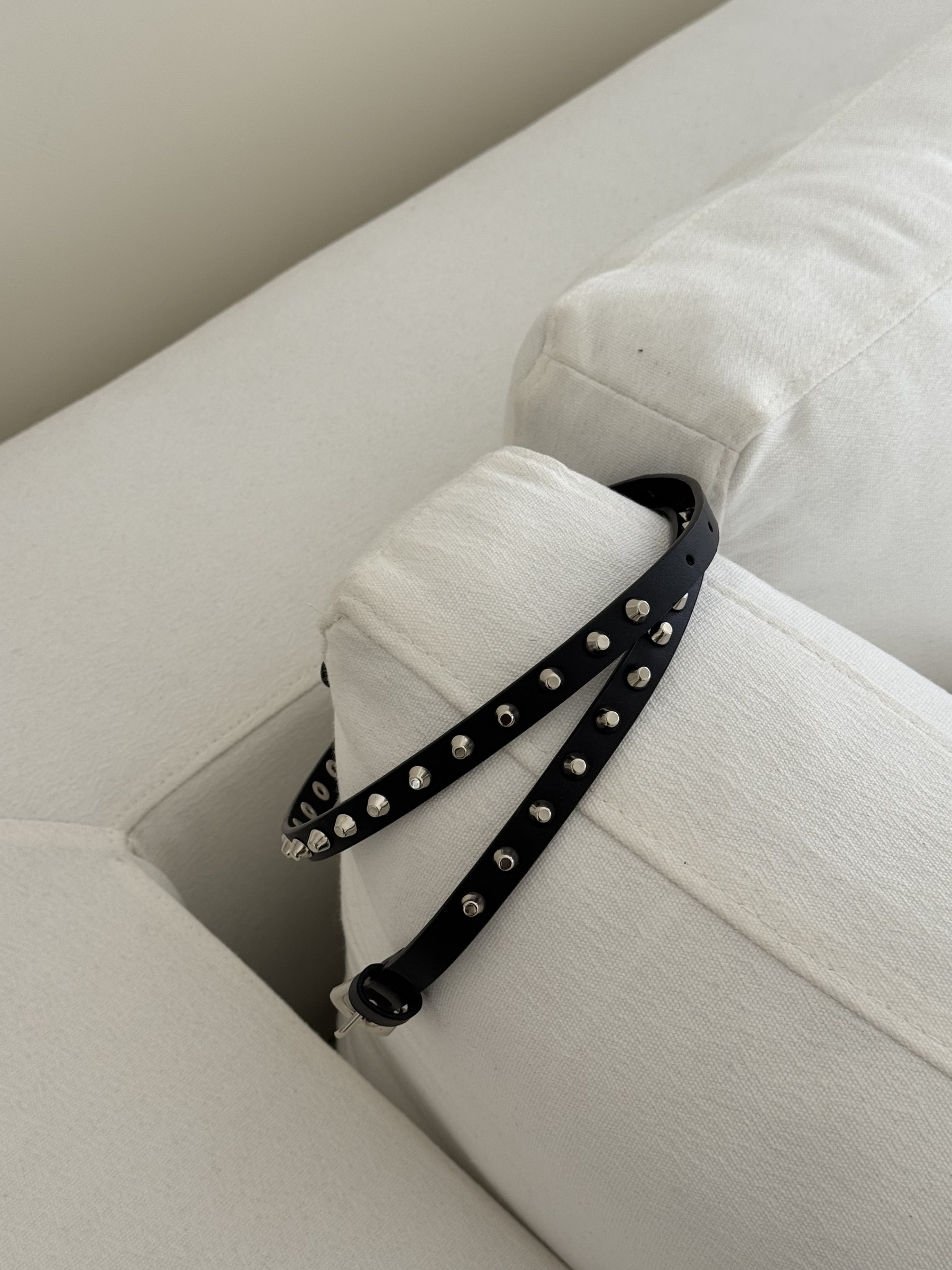 image_B9A48391-F400-4F98-BEB8-C931D6D6F82B_1773953827