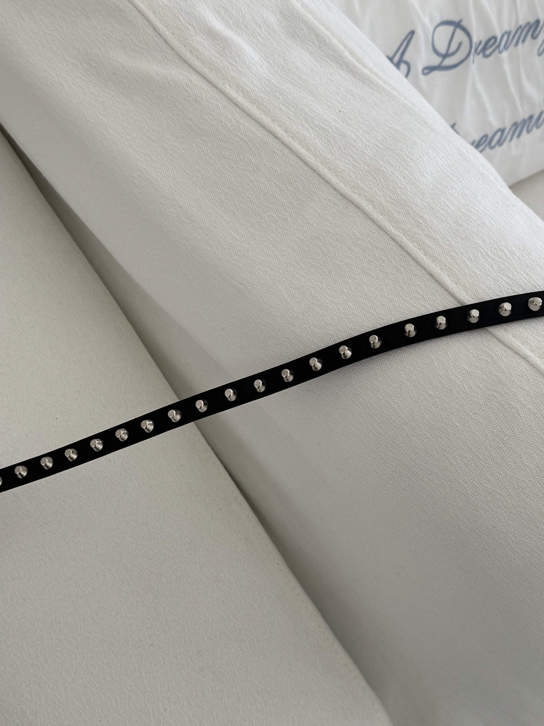 image_D85A2807-0E8B-4157-93A8-BF967CB6B337_1773953827