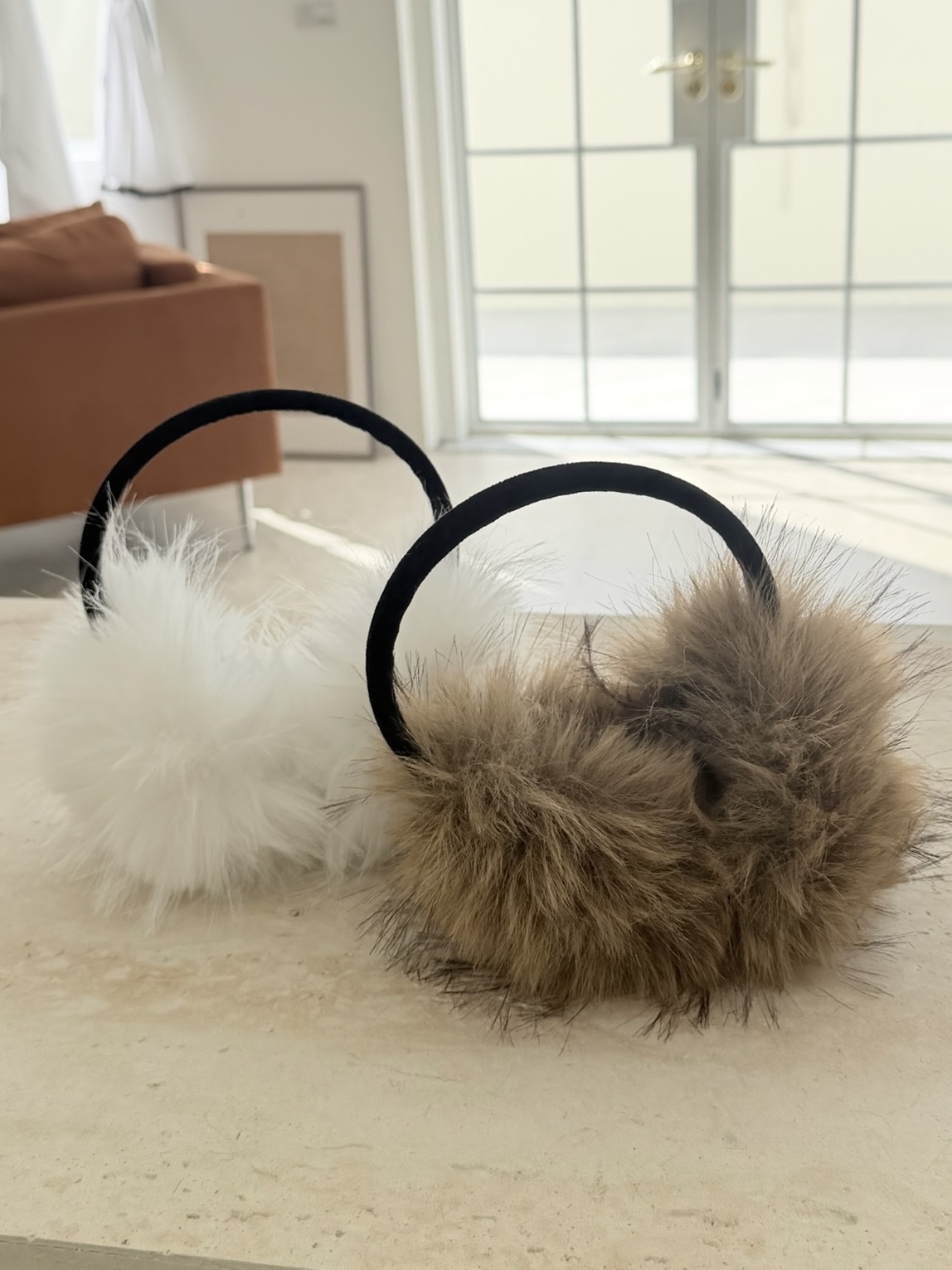 image_9611D4CA-3369-4486-84C3-CD8F2AC2AAF6_1766309433