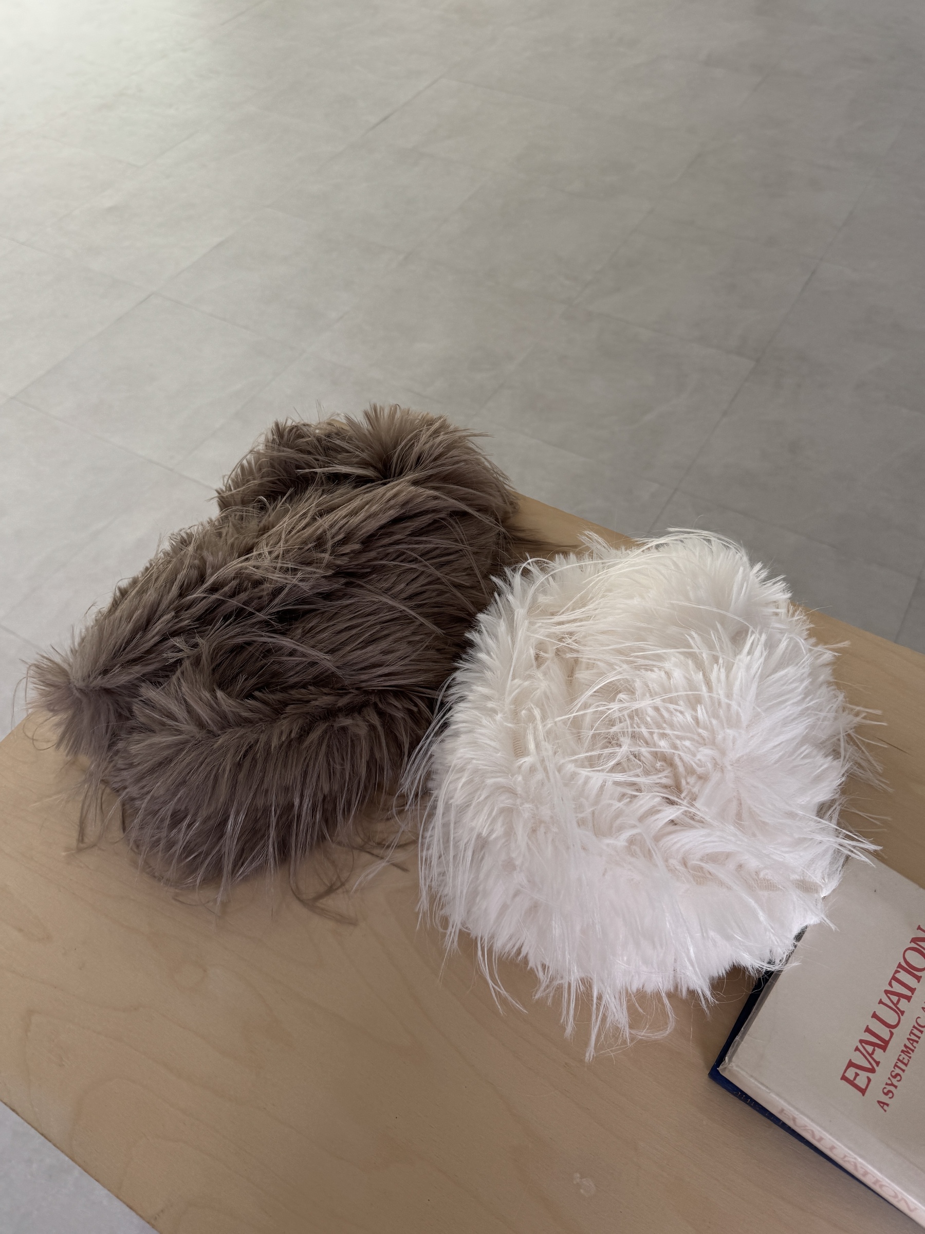 image_4368834D-F65F-48D7-B2EF-D1B15CE44065_1768769360