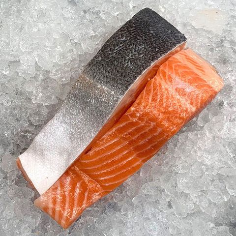 salmon