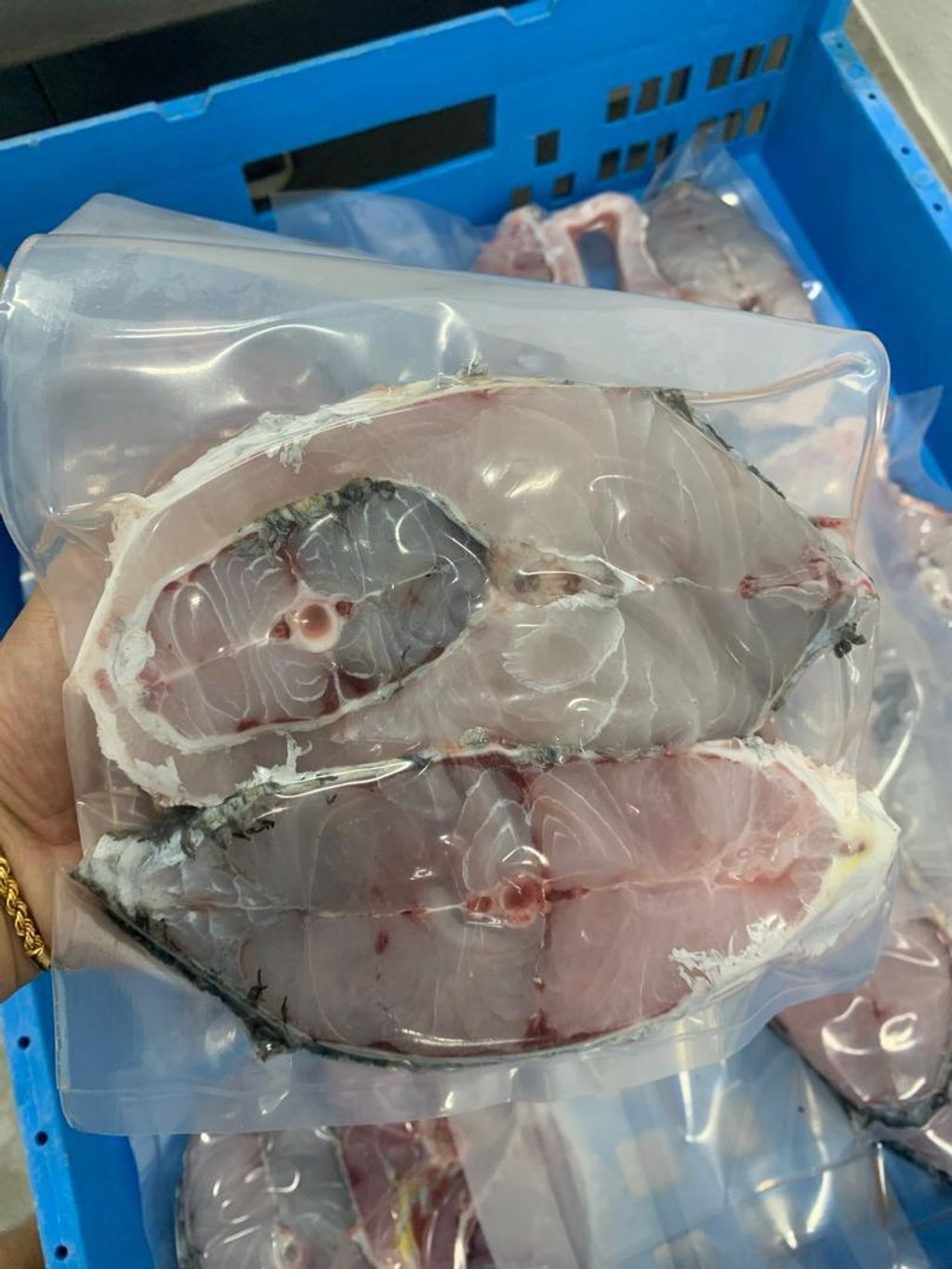 大石甲肉