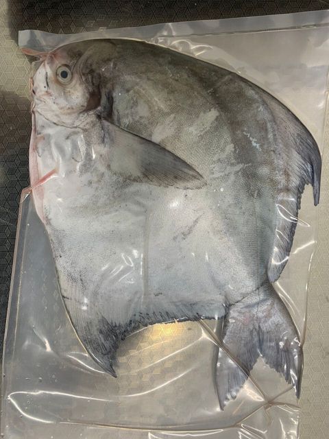 正斗