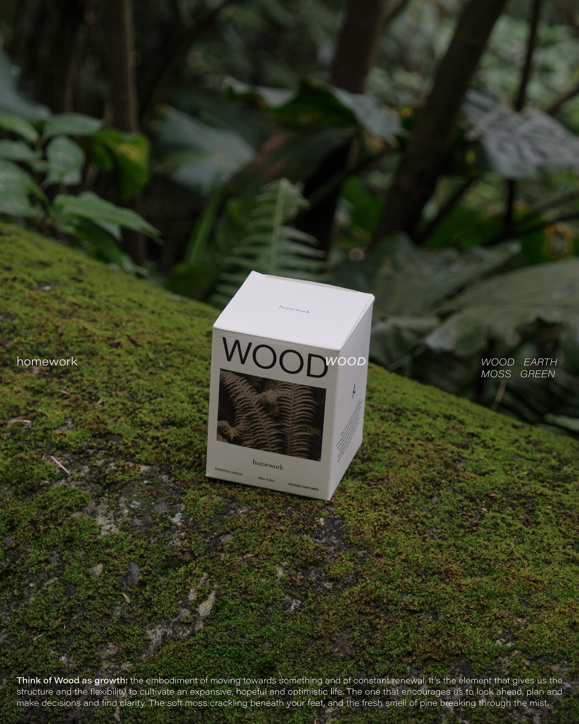 貼文wood-14