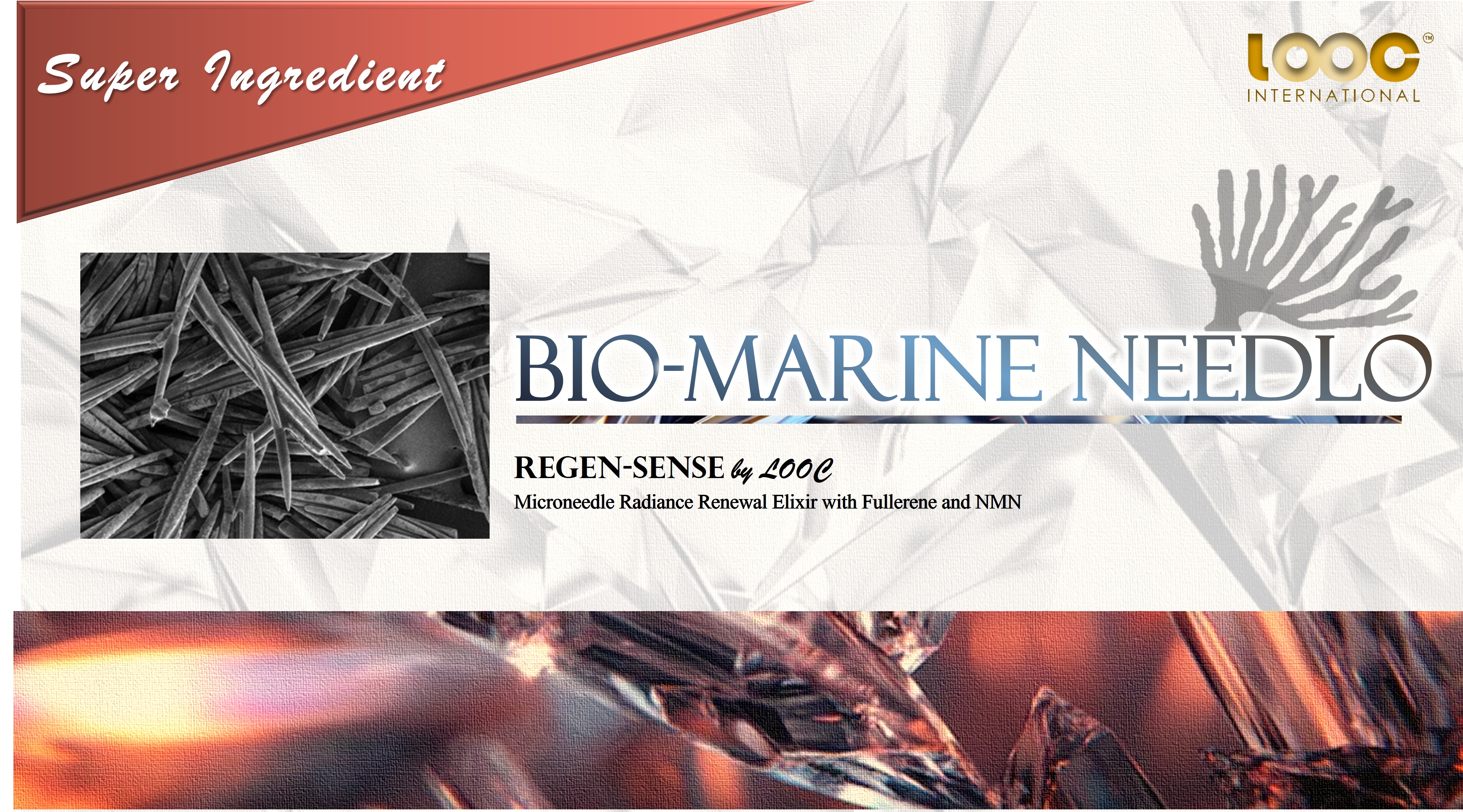 Bio Marine Needlo.png
