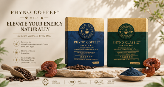 PHYNO COFFEE | LOOC