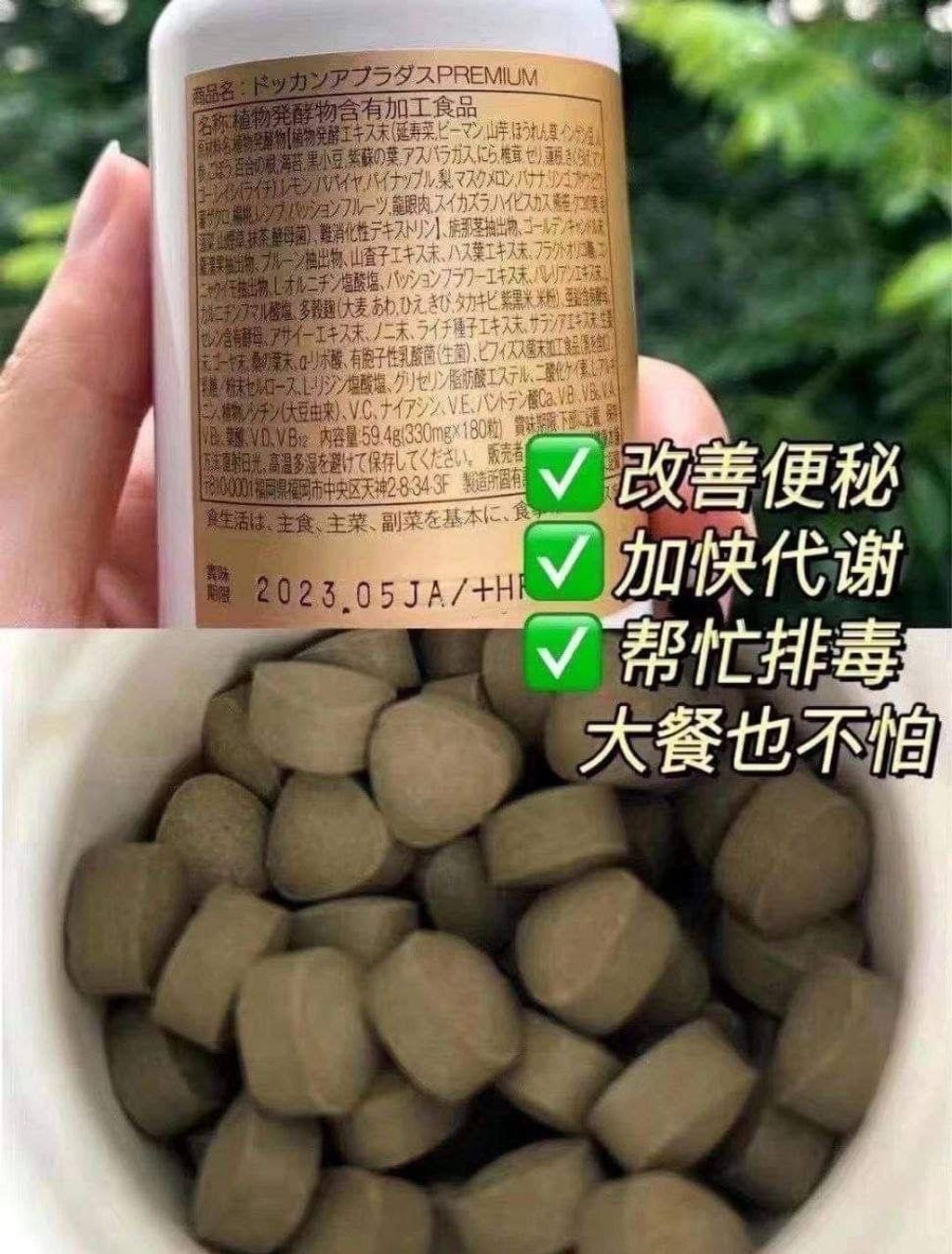 IMG_1859-1732098518235