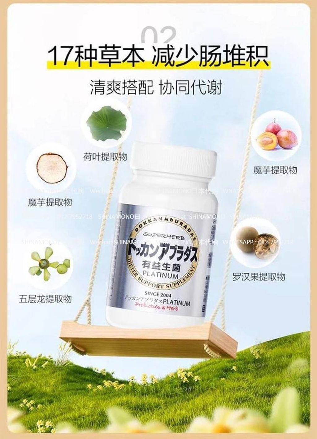 IMG_1863-1732098742487