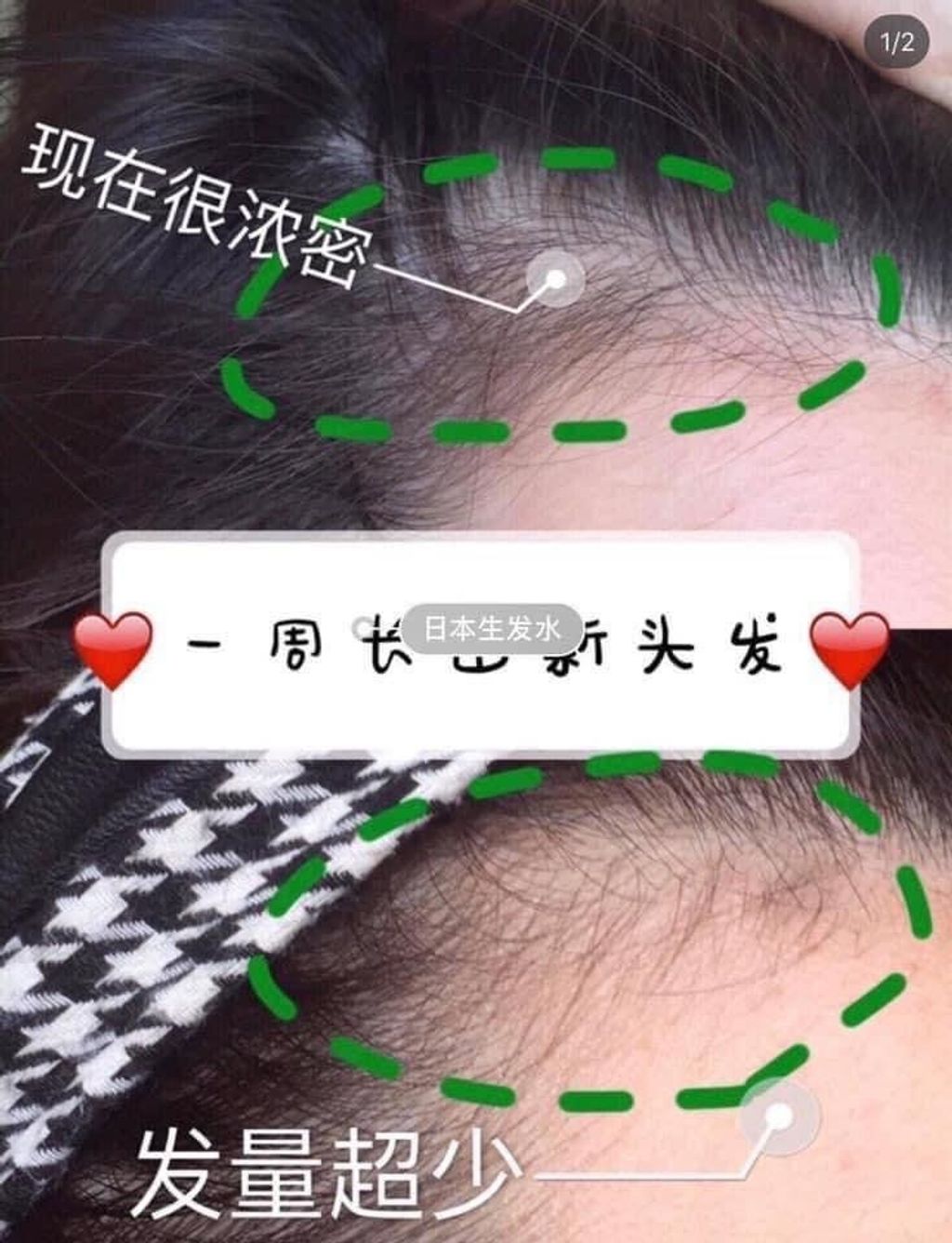 IMG_2196-1732440207725