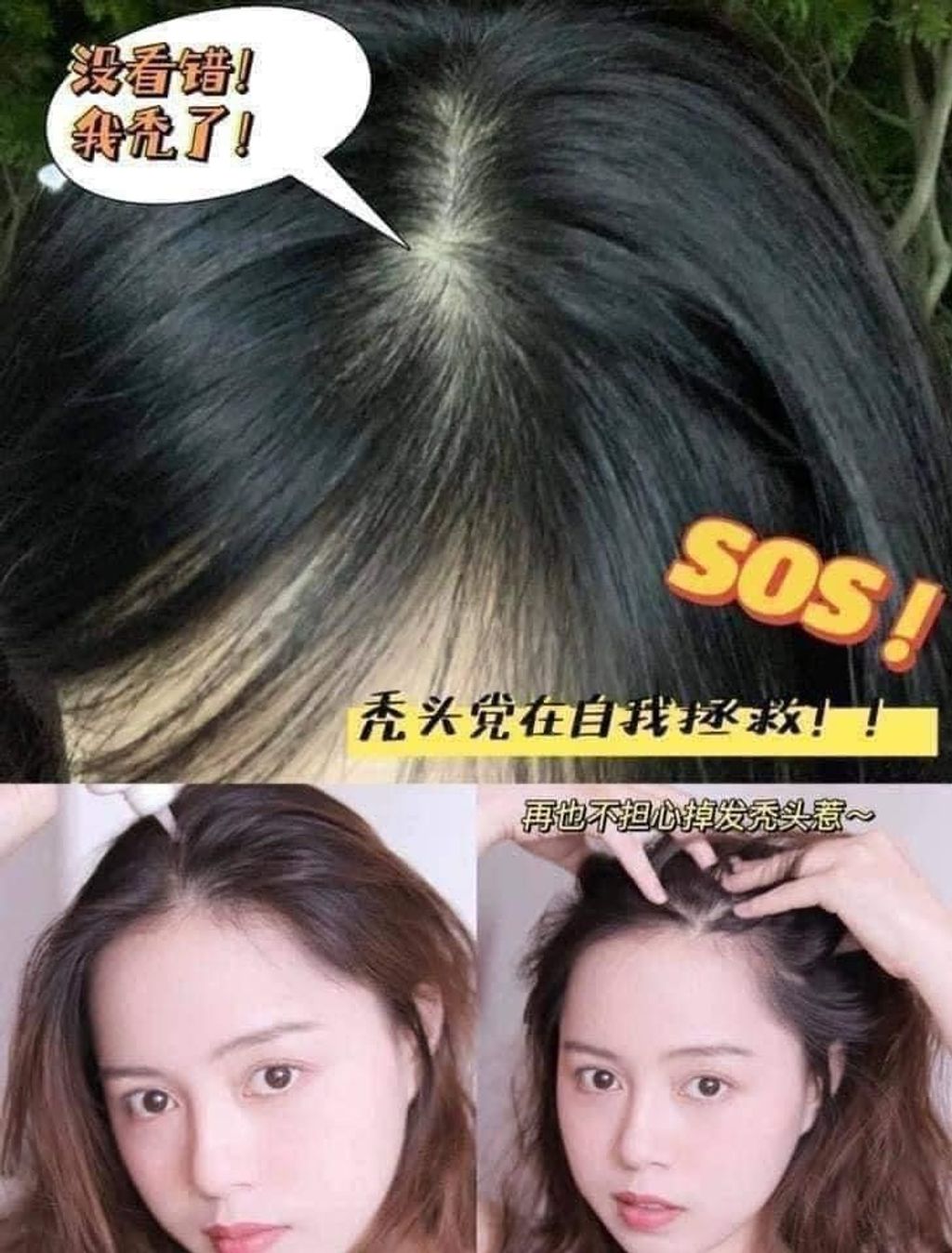 IMG_2198-1732440207741