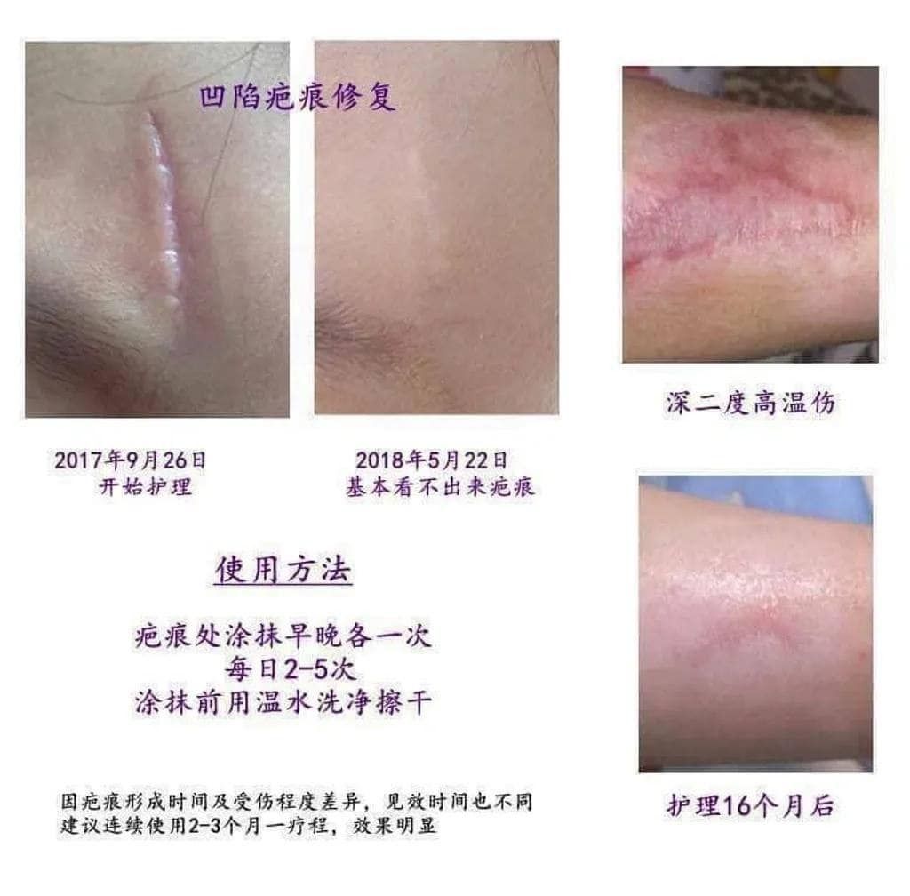 467350946_1107974814667785_4265776036672583225_n