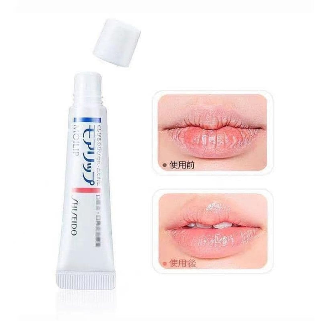 462740388_886031660287813_2898666451668176293_n