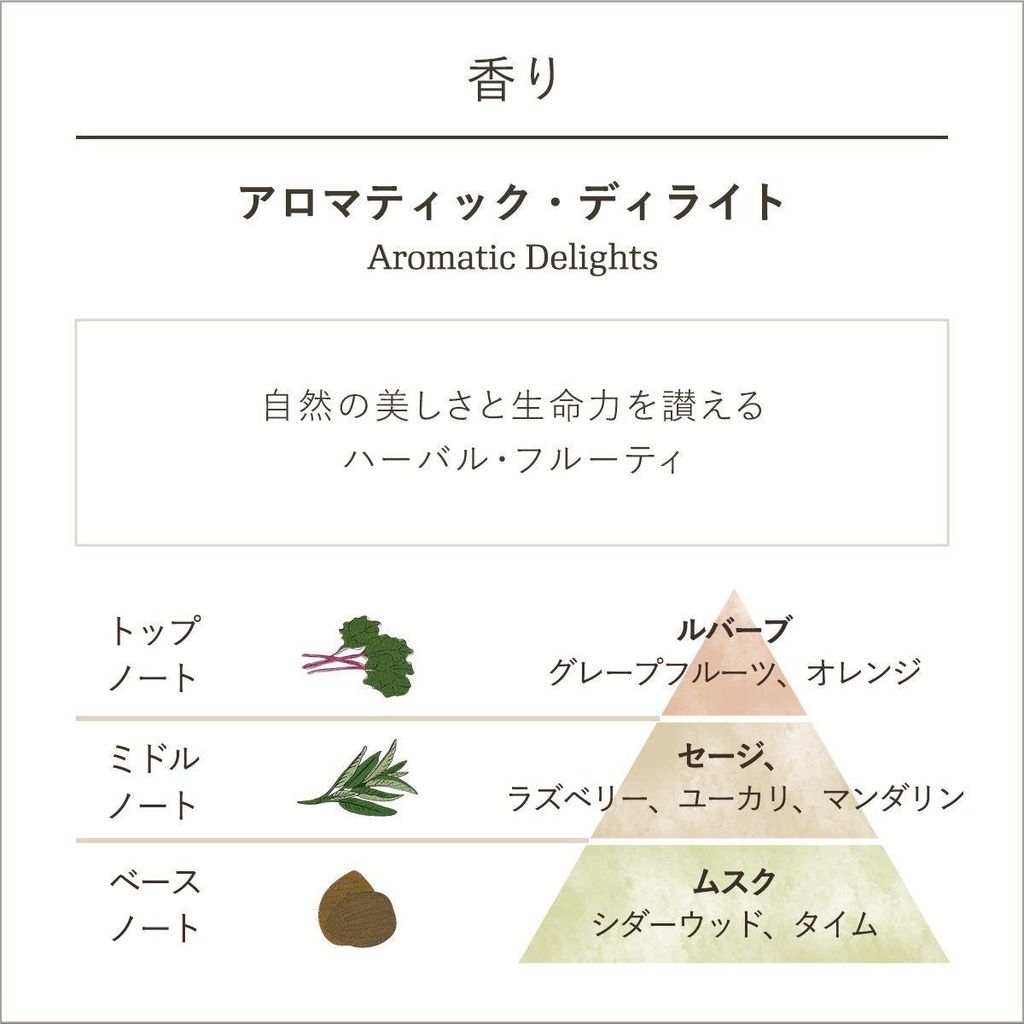 image_2F7771AD-35F8-46AB-82D3-B08DD1987F27_1747888193