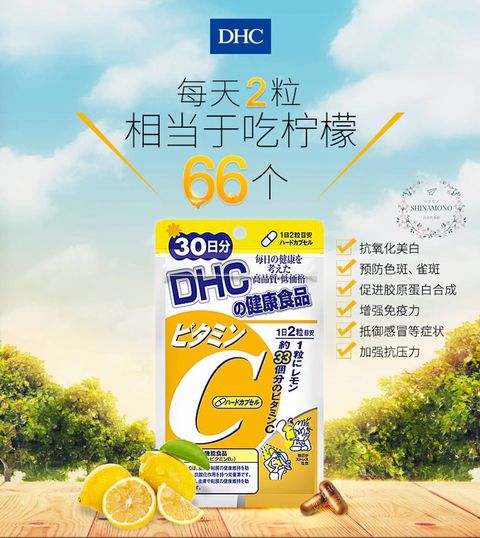 504484627_3279276532225611_2534564698641805859_n