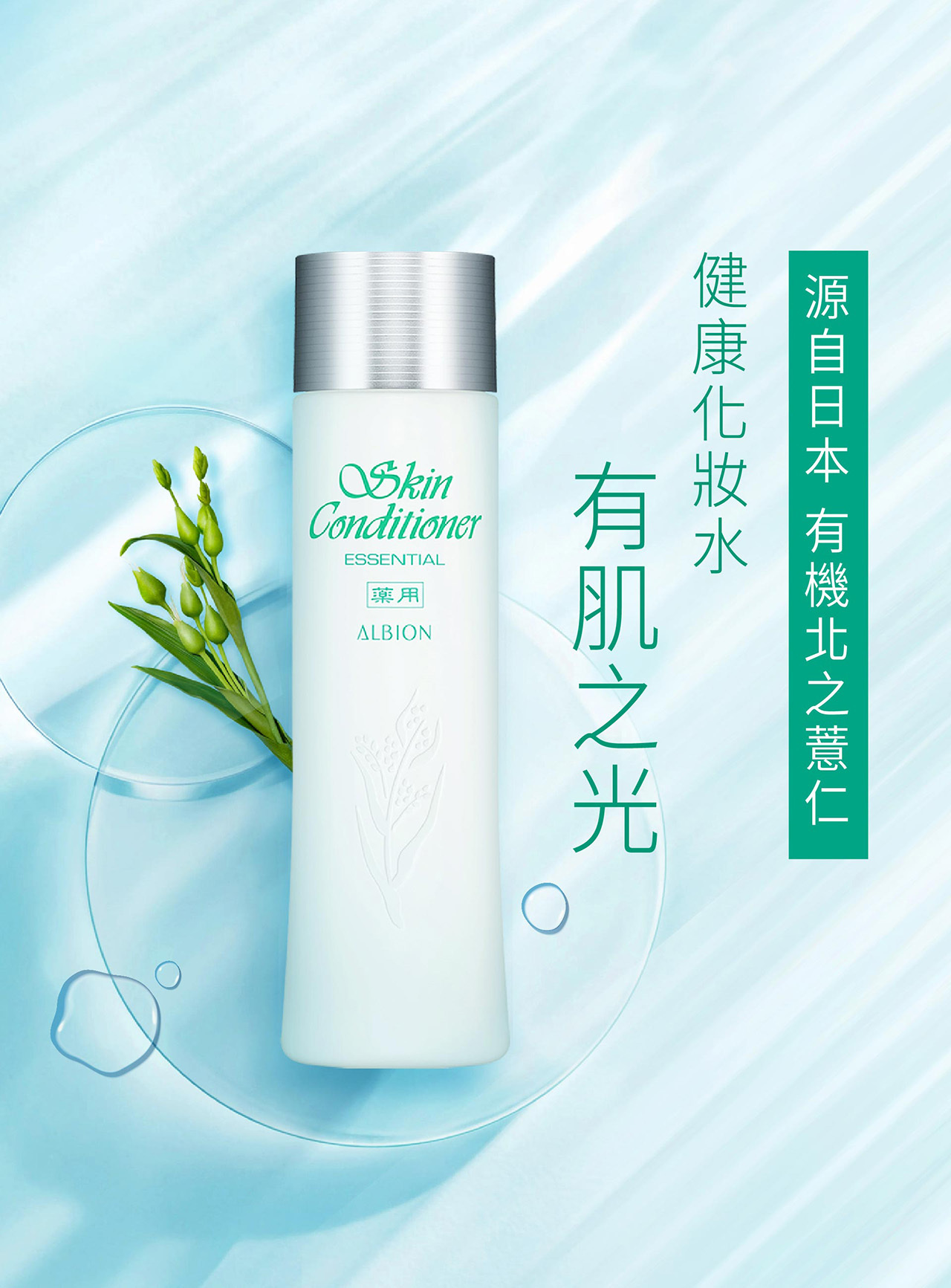 ALBION | 新进化健康水SKIN CONDITIONER Essential N – Shinamono 日本