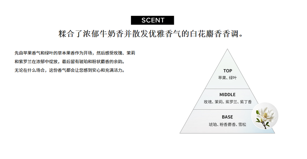 Screenshot 2025-07-25 211745