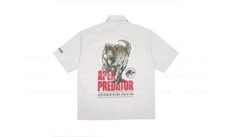 Jurassic 8-2