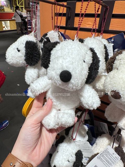 image_2AA28C7A-D62A-4920-9629-5FF9CC93F39D_1756491883
