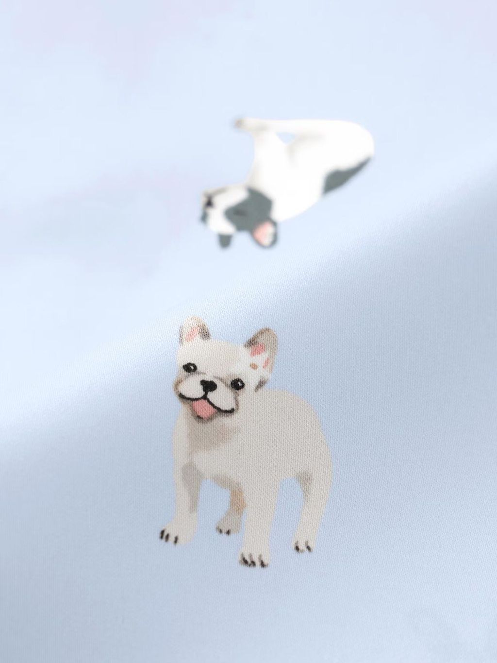 6260050658425769456