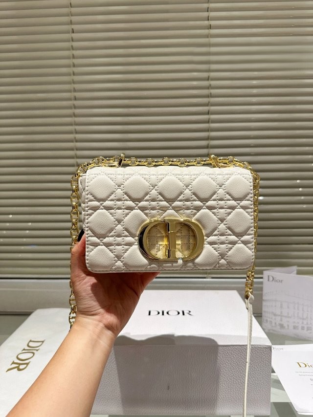 圖片_20241213193527