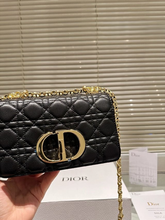 圖片_20241213193556