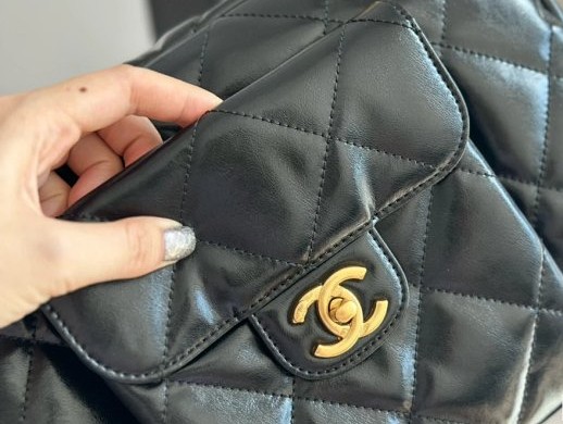 圖片_20241214010920