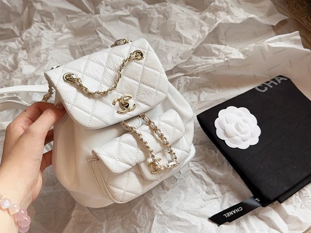 圖片_20241215193714