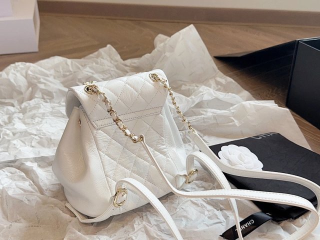 圖片_20241215193721