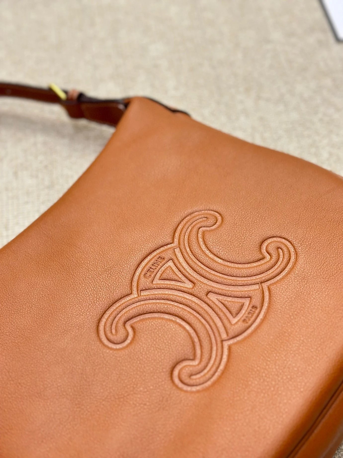 圖片_20241215224126