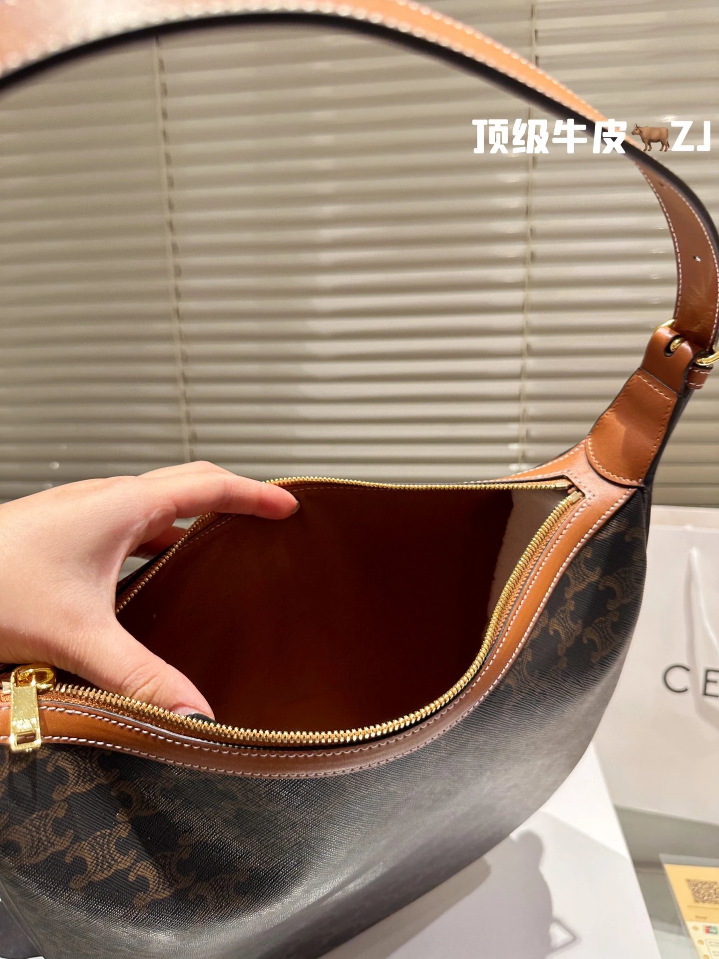 圖片_20241215224223