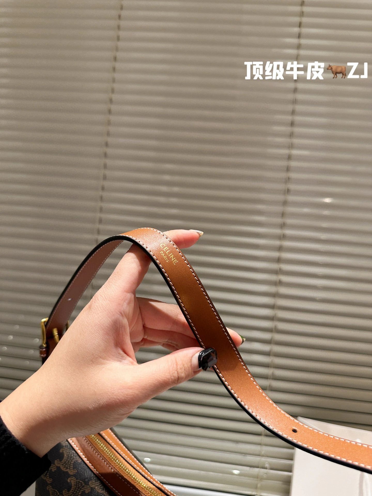 圖片_20241215224220