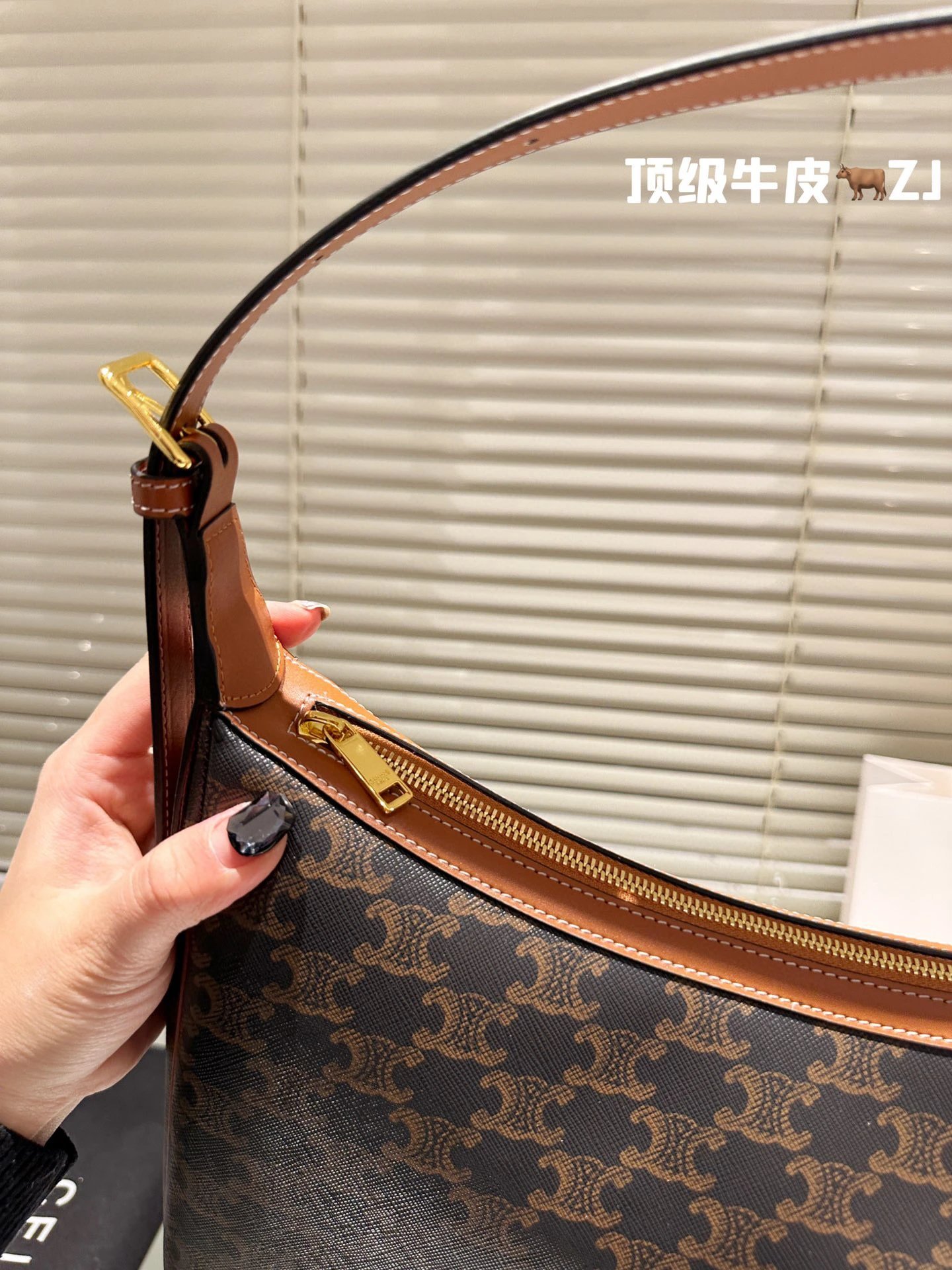 圖片_20241215224214