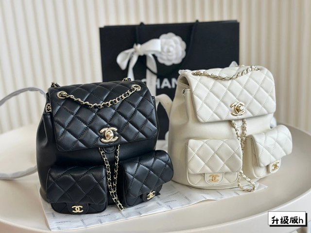 圖片_20241215231340