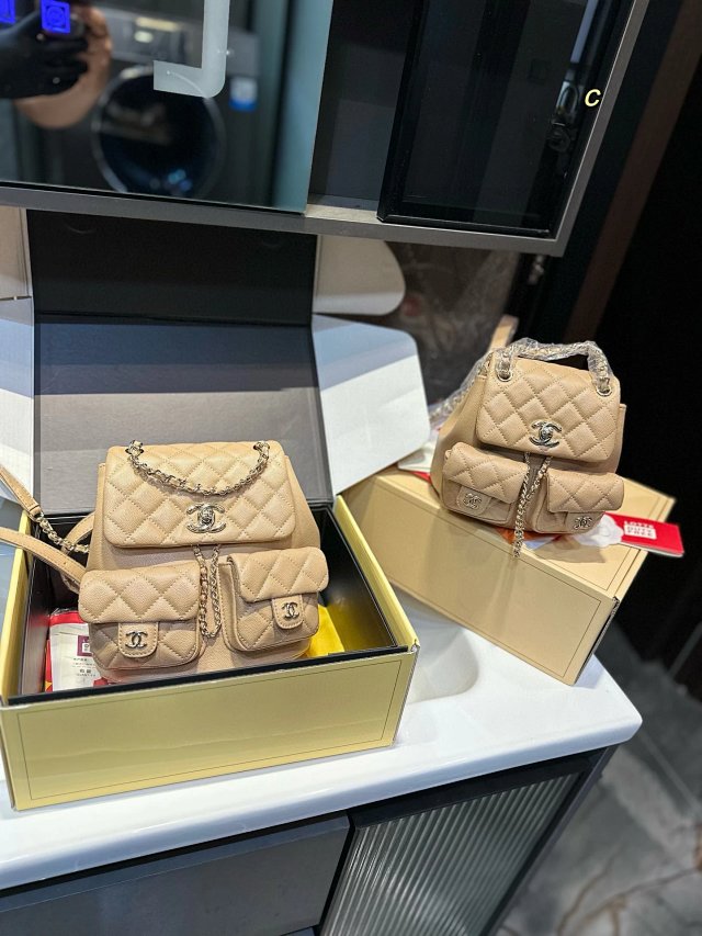 圖片_20241215231318