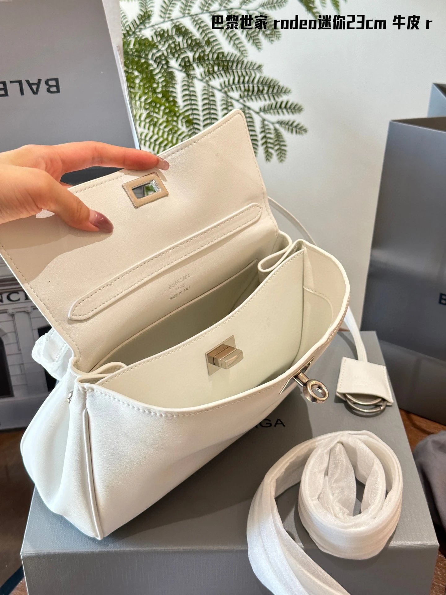 圖片_20241215234828