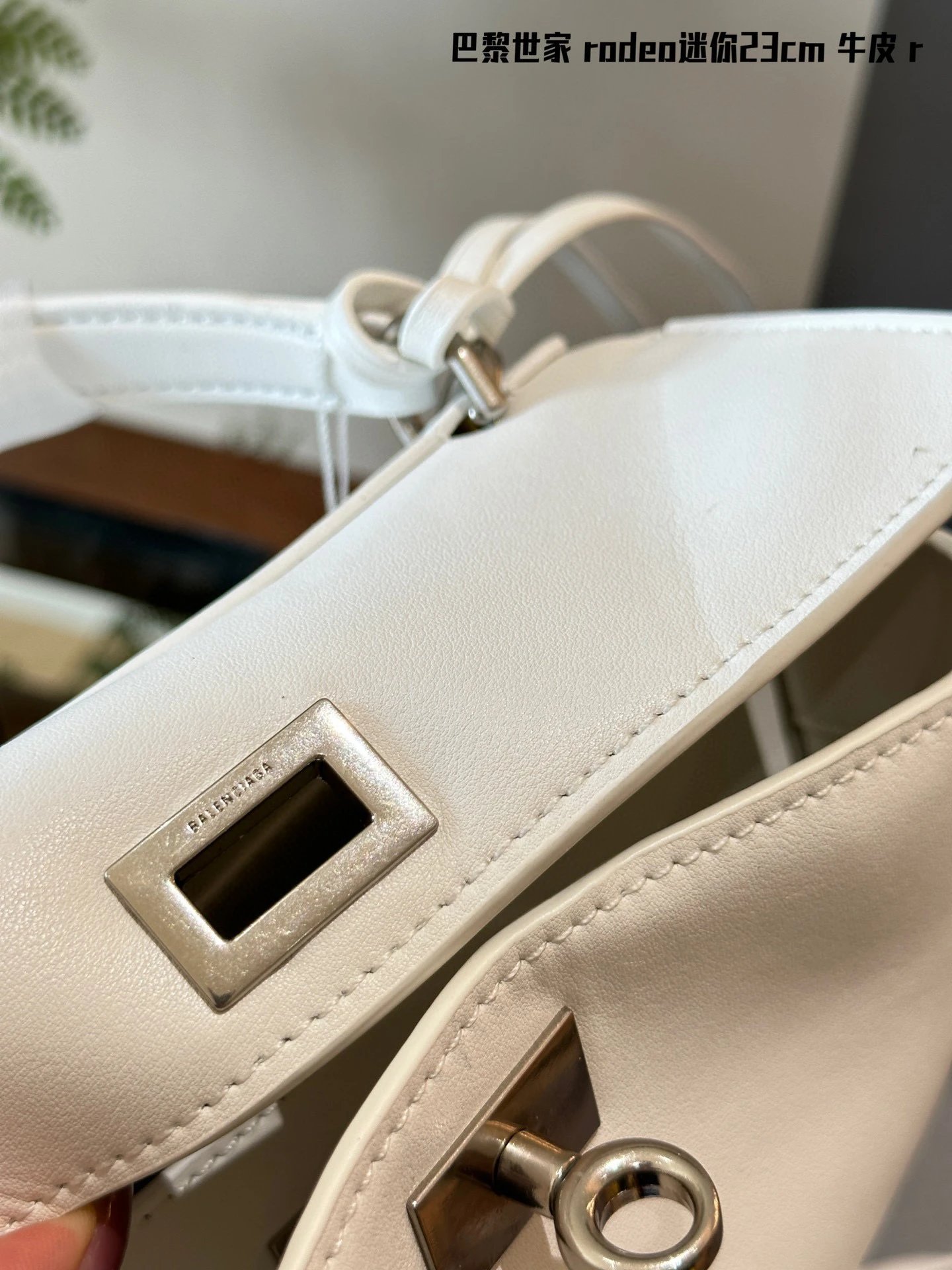 圖片_20241215234836