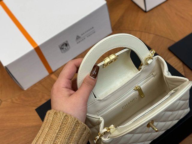 圖片_20241216161242