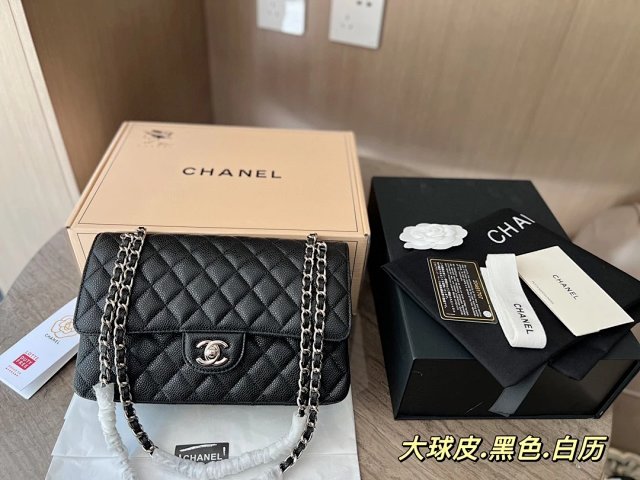 圖片_20241217171439