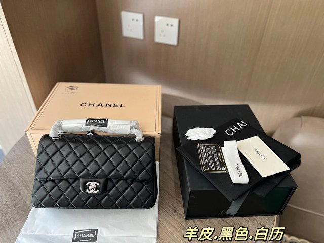 圖片_20241217171446