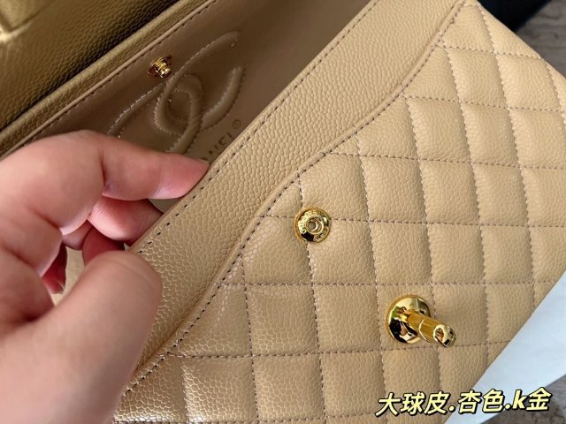 圖片_20241217171528