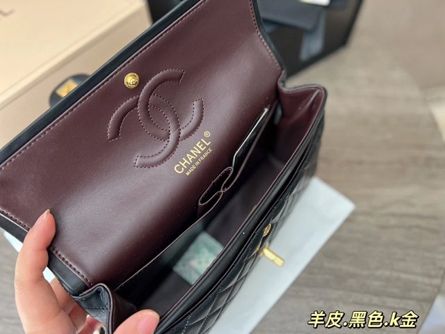 圖片_20241217171517