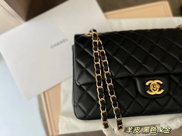 圖片_20241217171510