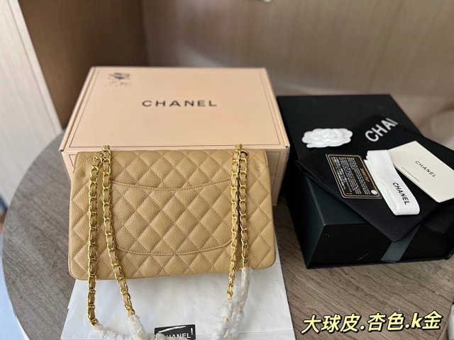 圖片_20241217171525