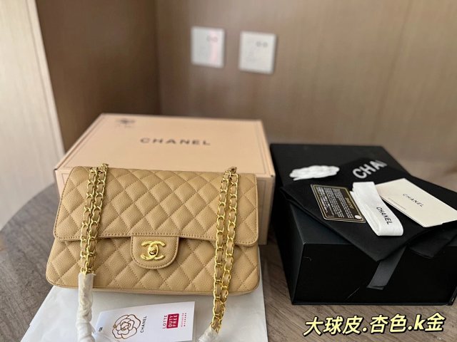 圖片_20241217171524